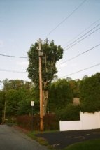 bedfordtowers trainspotting power lines utility pole film photography
