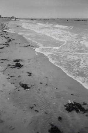 coney island bedfordtowers sand